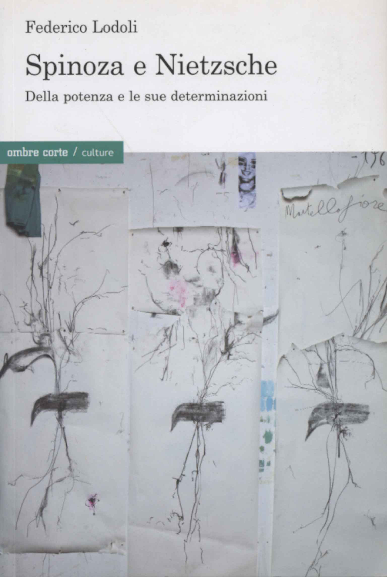 Spinoza und Nietzsche