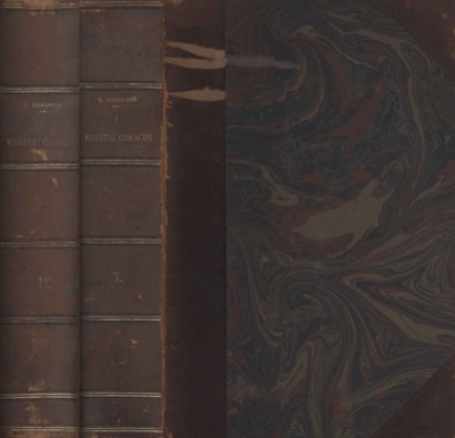 I maestri Comacini. Storia Artistica di Mille Duecento Anni 600-1800 (2 Volumi)