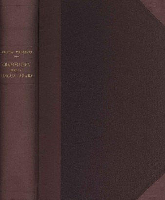 Grammatica teorico-pratica della lingua araba (Volume I)