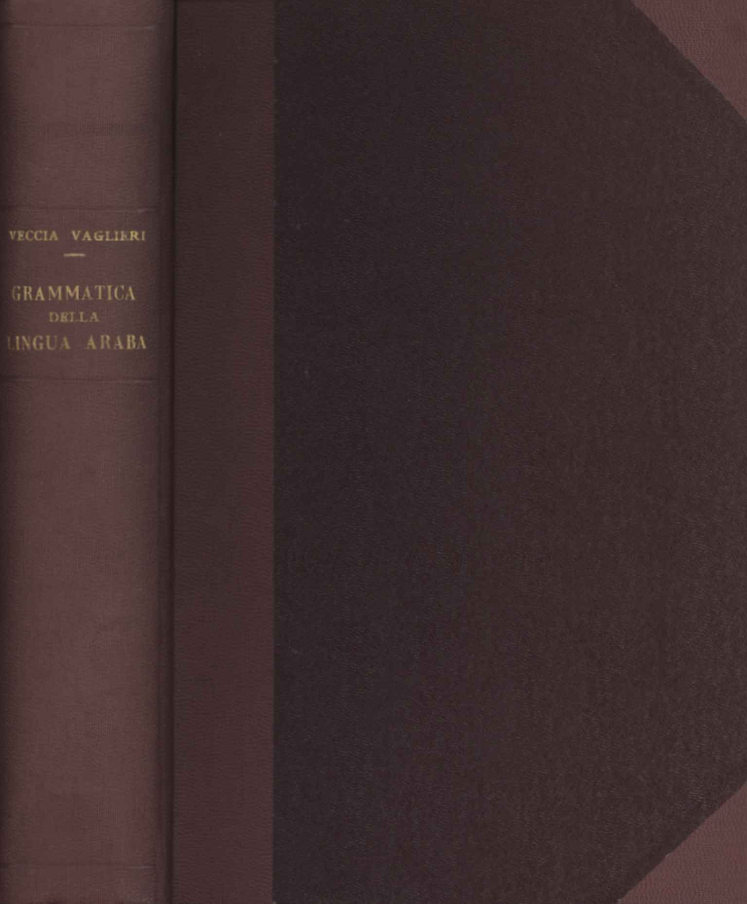 Gramática teórica y práctica del lenguaje AR