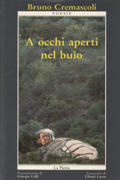 A occhi aperti nel buio, Bruno Cremascoli