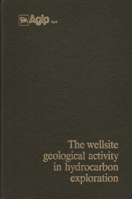 The wellsite geological activity in hydrocarbon exploration