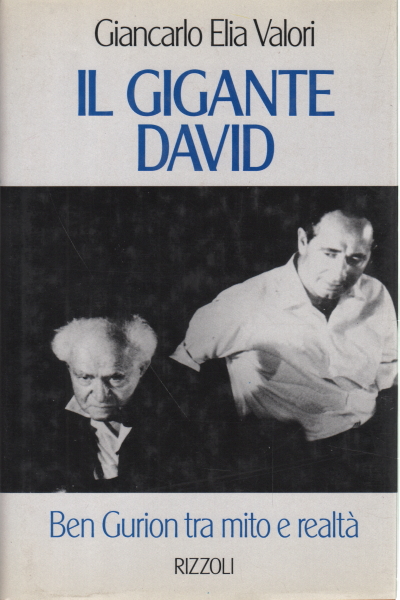 Il gigante David