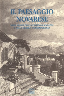 Il paesaggio novarese