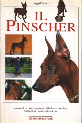 Il Pinscher
