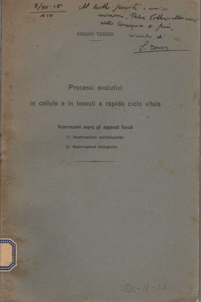 Processi evolutivi in cellule e in tessuti a rapid, Sergio Tonzing