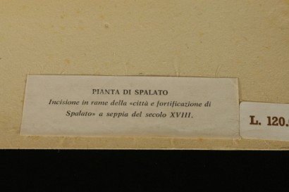 Bartolomeo Nerici (XVIII secolo)