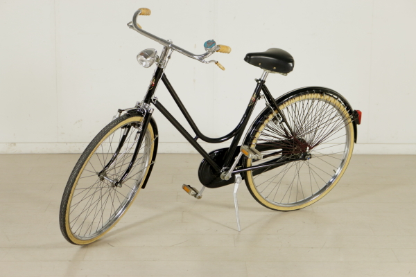 biciclette da donna da 14 a 16 anni