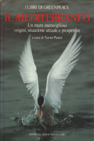Il Mediterraneo, Xavier Pastor