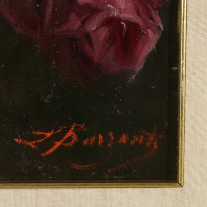 Licinius Barzanti, rosa