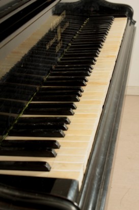 Concierto de piano de cola Bechstein