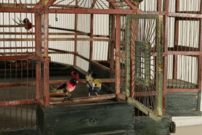 Cathedral shaped Aviary - detail