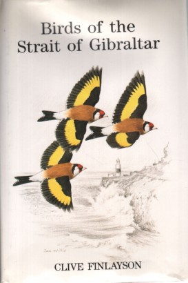 Birds of the Strait of Gibraltar