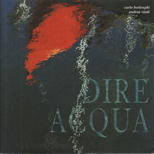 Dire acqua, Andrea Vitali