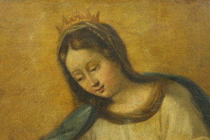 Madonna the Immaculate conception - particular