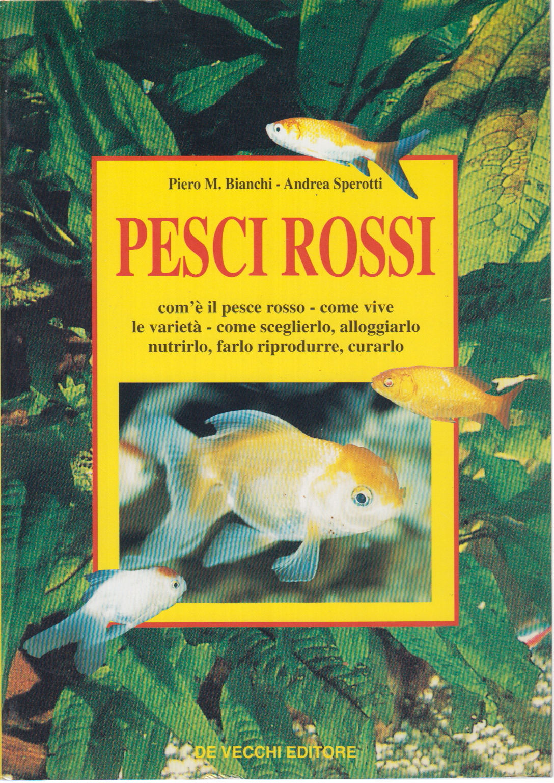 Pesci rossi, Piero M. Bianchi Andrea Sperotti