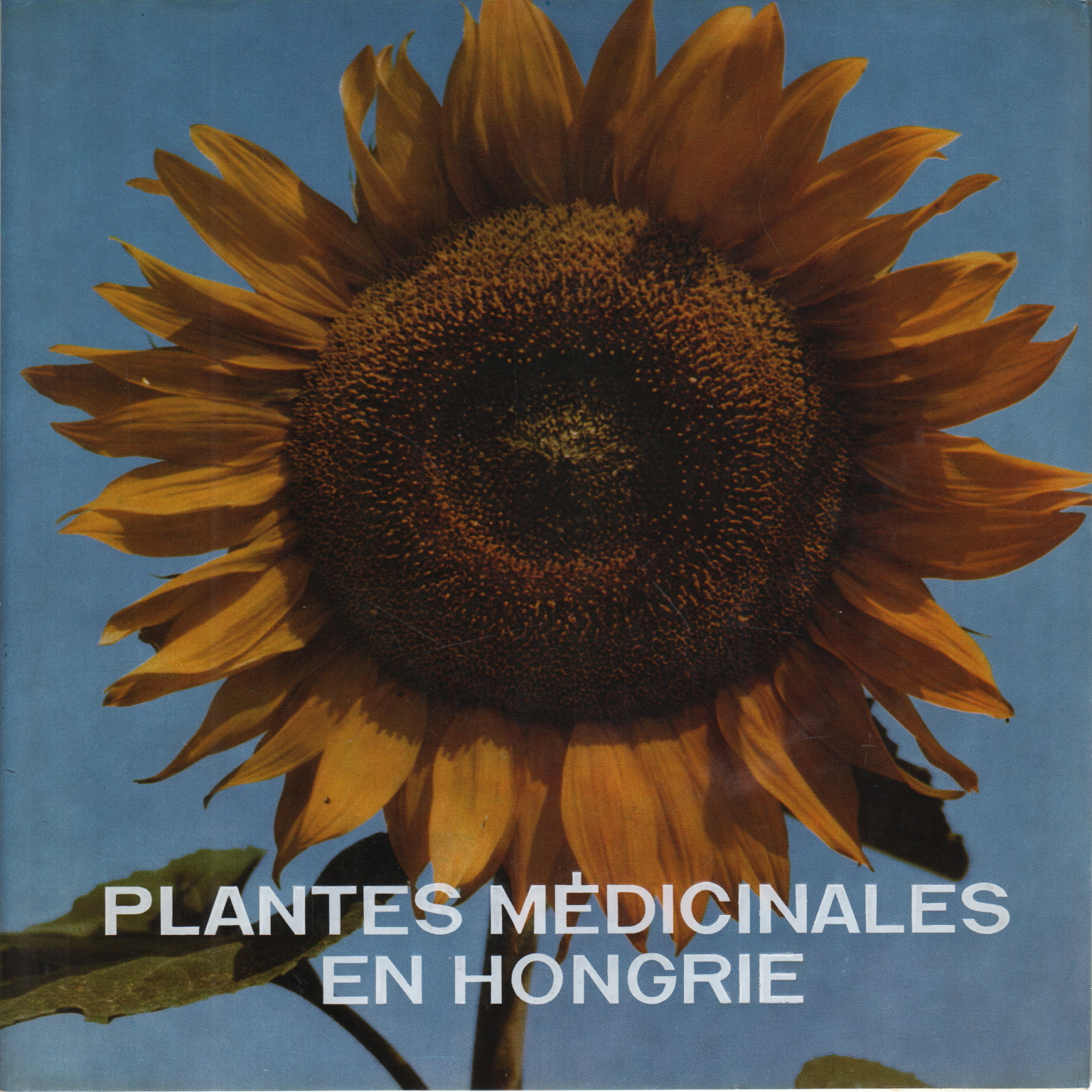 Plantes médicinales en Hongrie, Edit Pethes