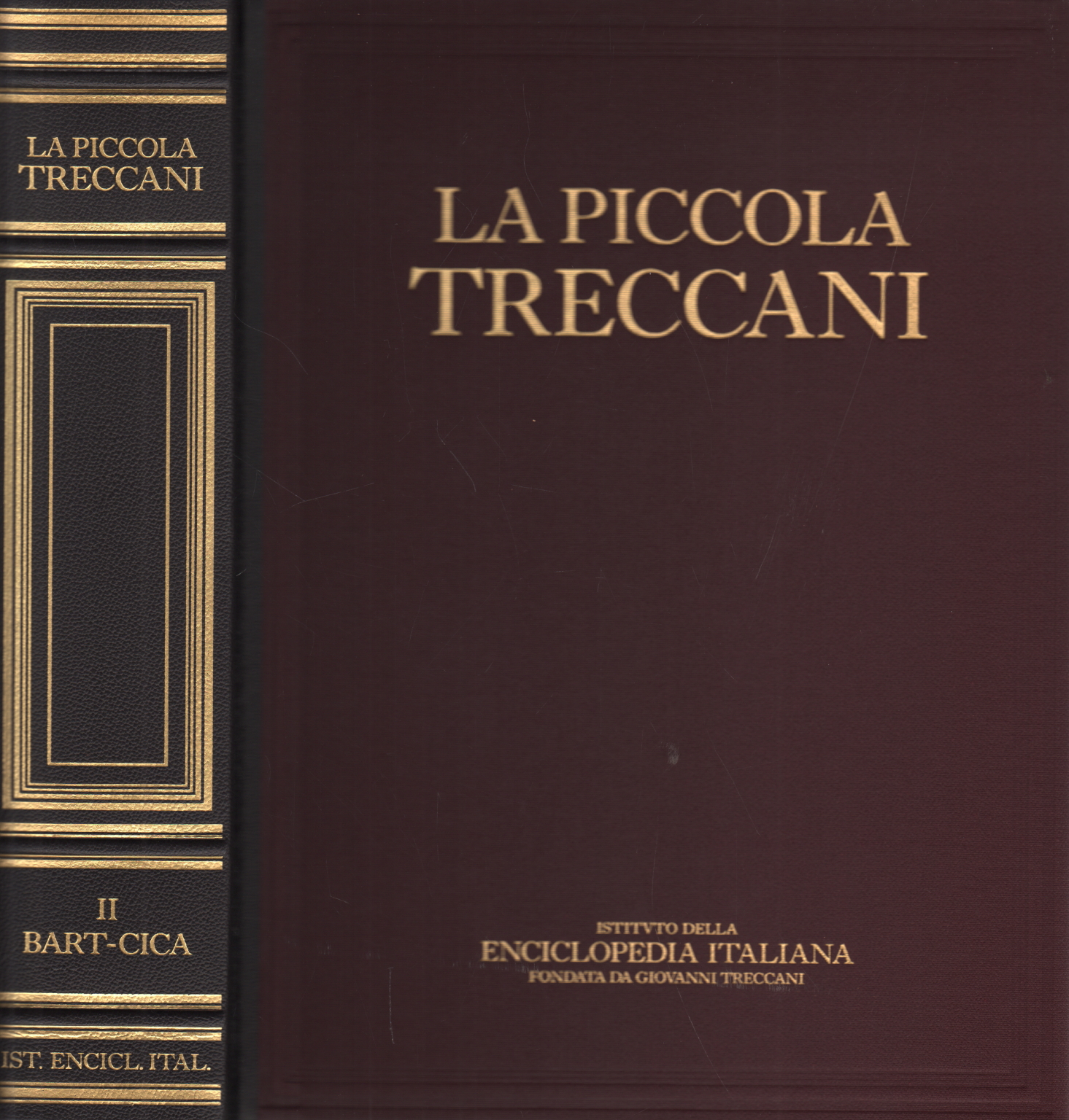 La Piccola Treccani II Bart-Cica, AA.VV.
