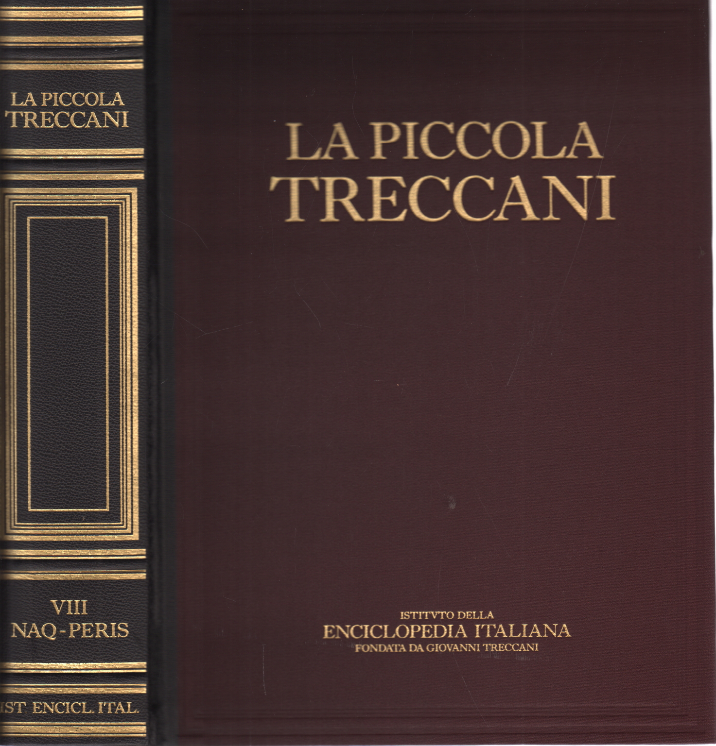 La Piccola Treccani VIII Naq-Peris, AA.VV.
