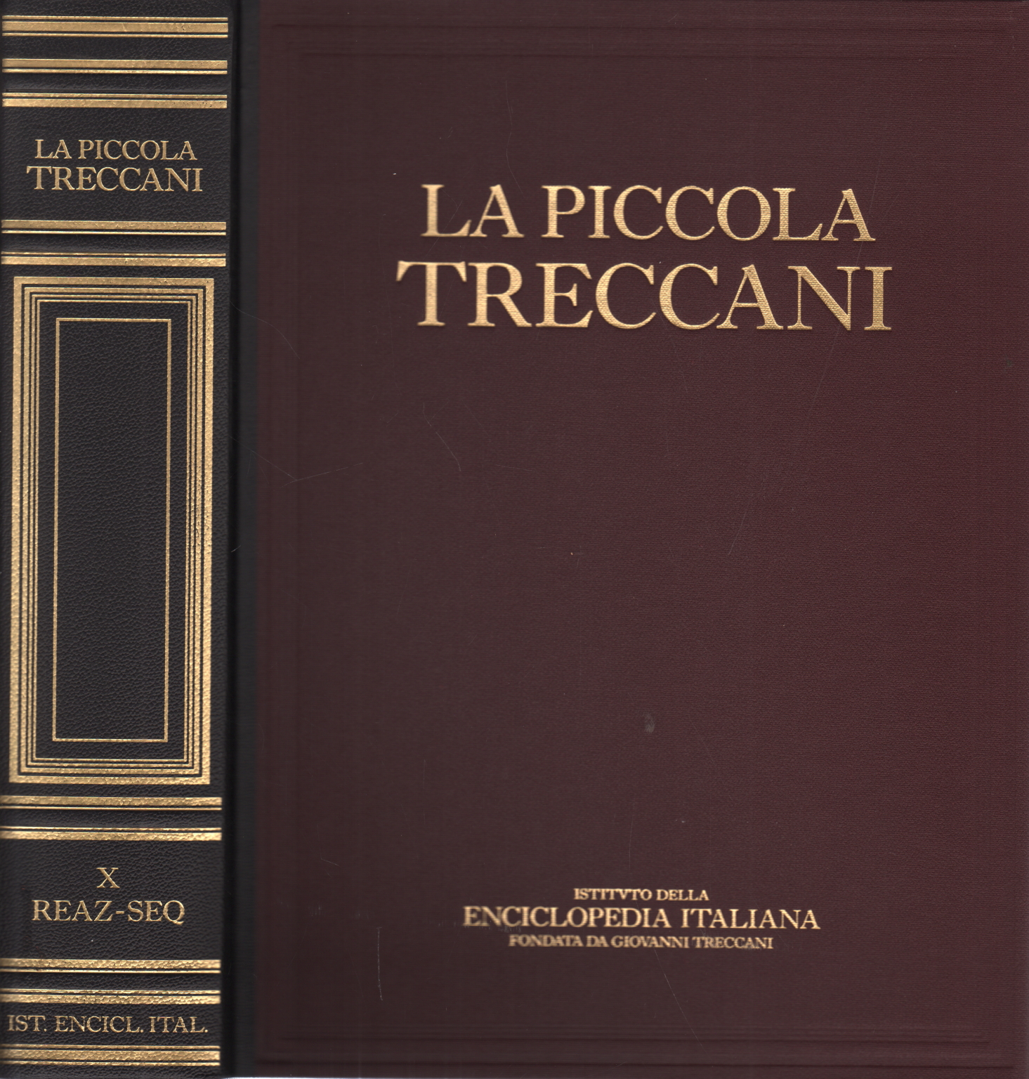 La Piccola Treccani