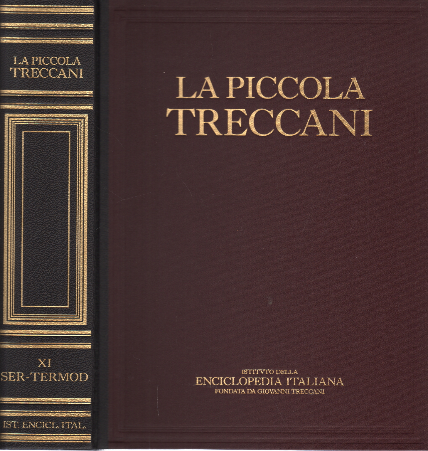 La Piccola Treccani XI Ser-Termod, AA.VV.