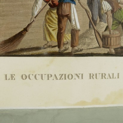 Occupations rural