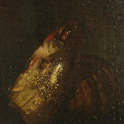 Still life with fishes and shell