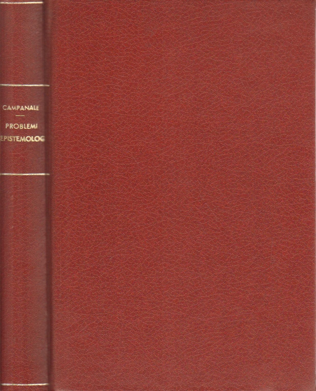 Problemi epistemologici, Domenico Campanale