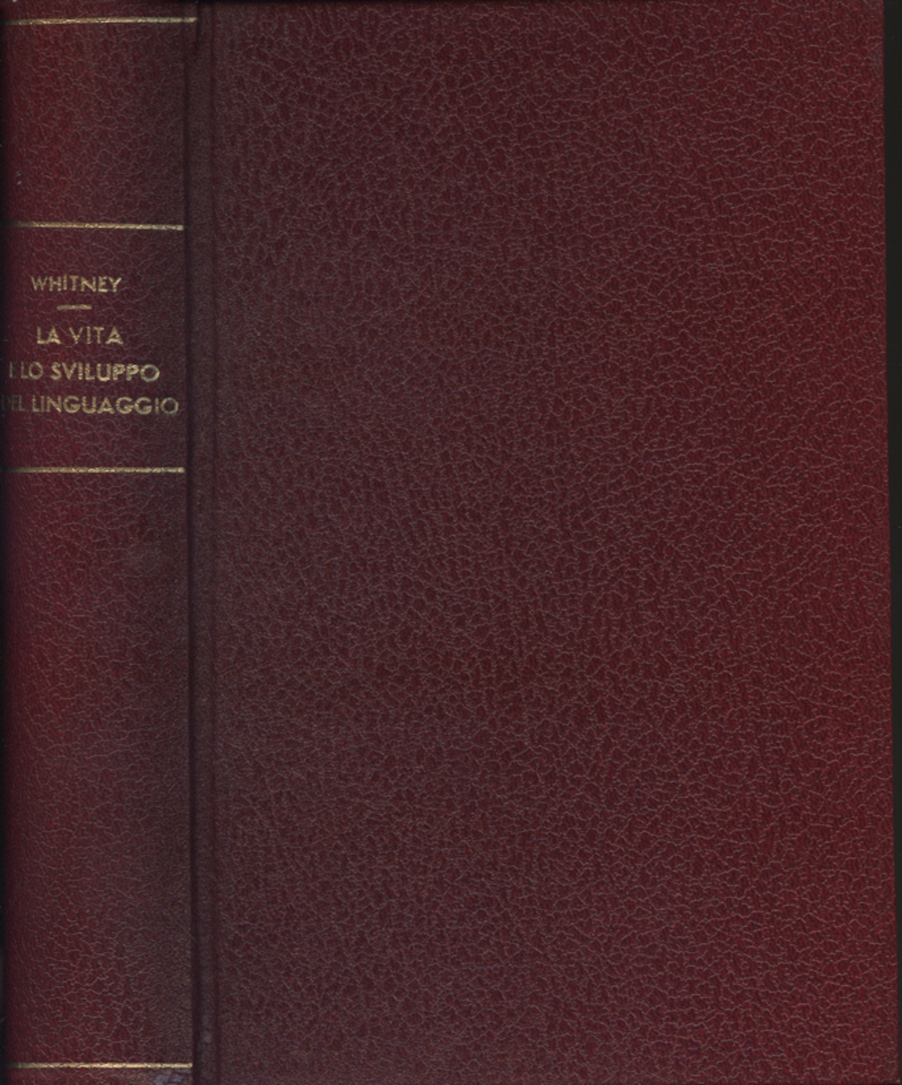 evolution of the moral code essay evolution of the moral code essay