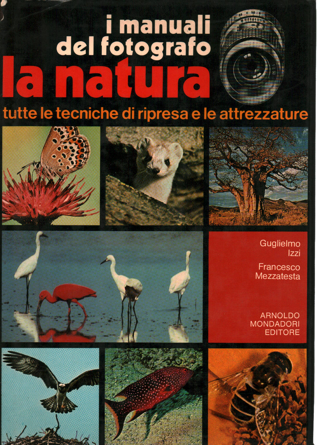 La natura, Guglielmo Izzi Francesco Mezzatesta