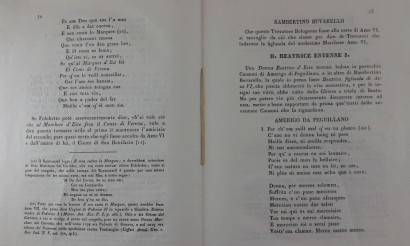 Historical research on the Provençal Troubadours, Celestino Cavedoni