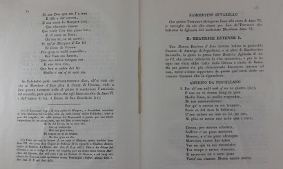 Recherche historique sur les Troubadours Provençaux, Celestino Cavedoni