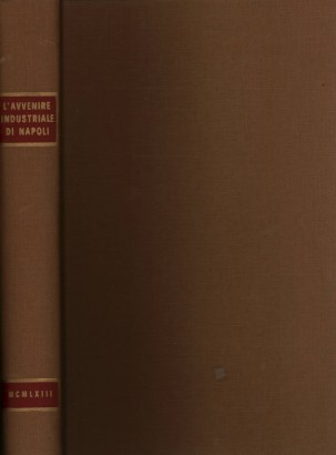 L'avvenire industriale di Napoli negli scritti del Primo Novecento