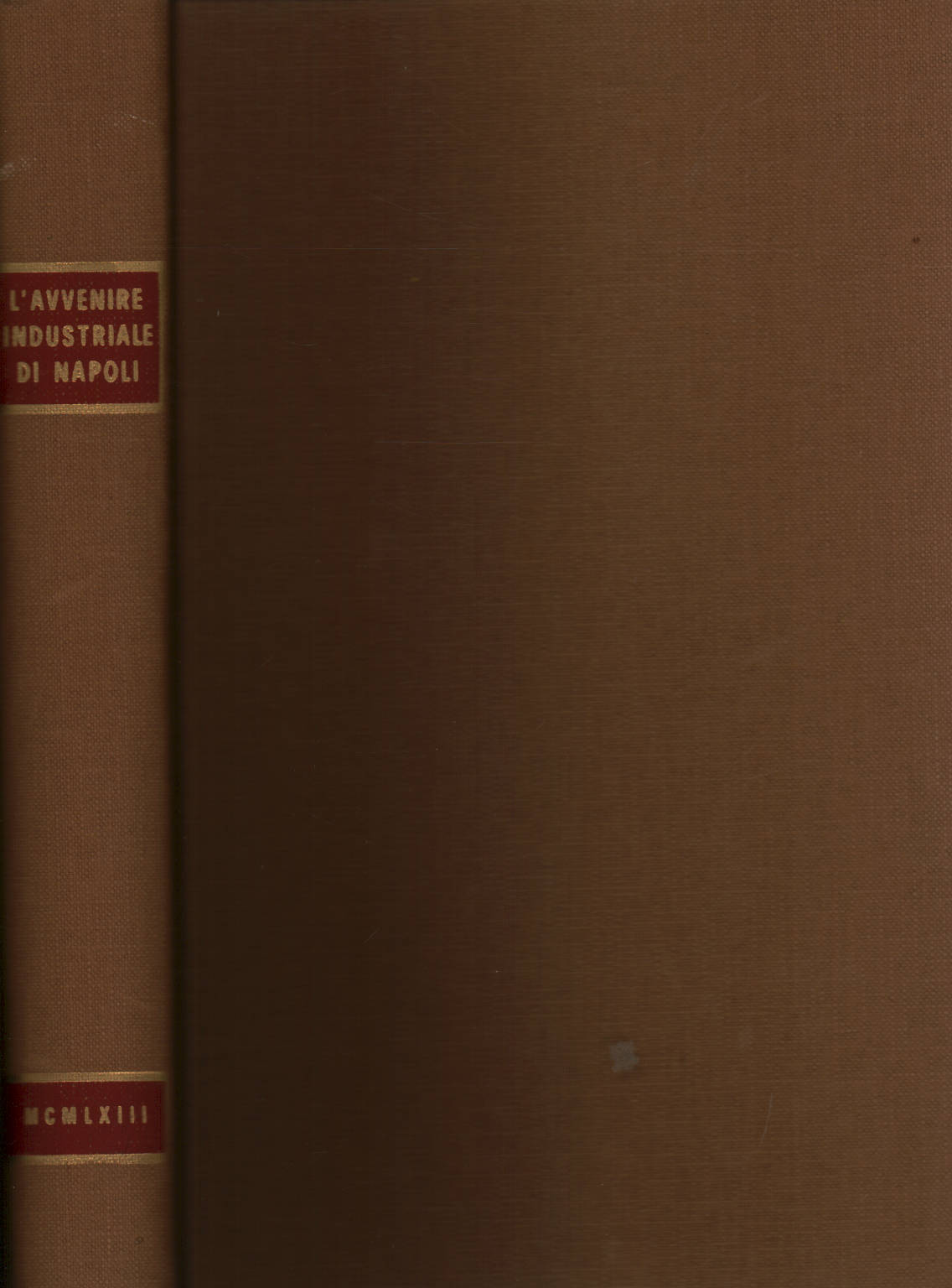 The industrial future of Naples in the writings of Giuseppe Russo