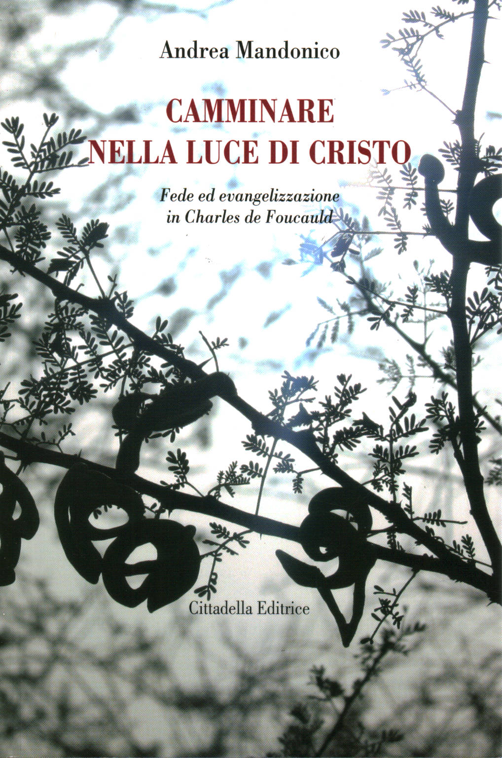 Camminare nella luce di Cristo, Andrea Mandonico