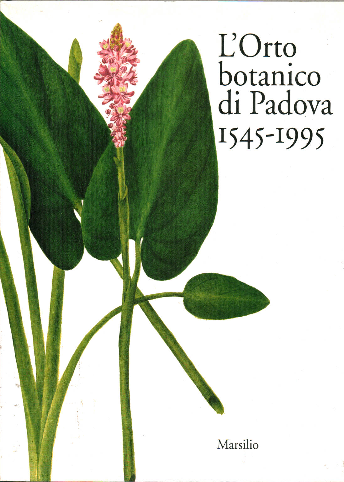 El Jardín Botánico de Padua 1545-1995, Alessandro Minelli