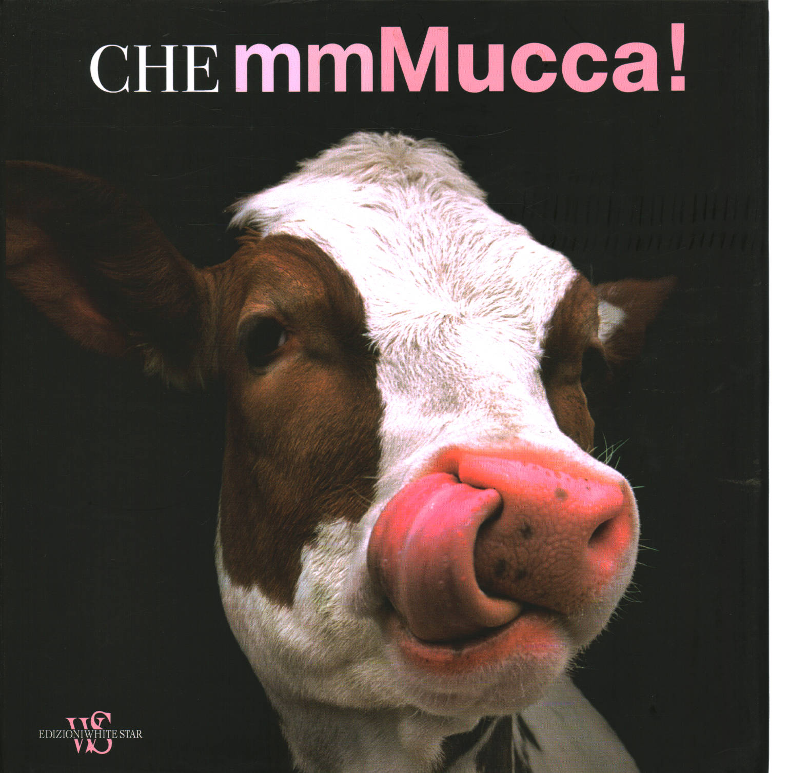 Que mmMuccha!, AA.VV
