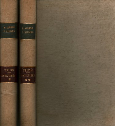 Trion: antiquités découvertes en 1885, 1886 et antérieurement au quartier de Lyon dit de Trion (2 volumes)