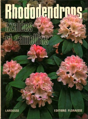 Rhododendrons, azalèes et camellias
