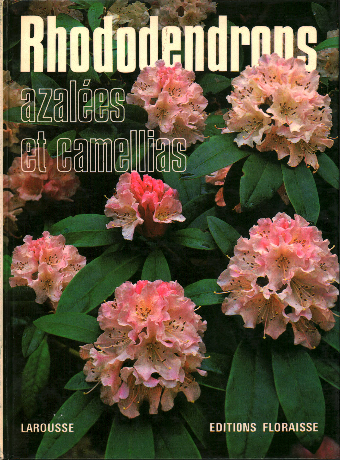 Los rododendros, azalèes et camelias, s.una.