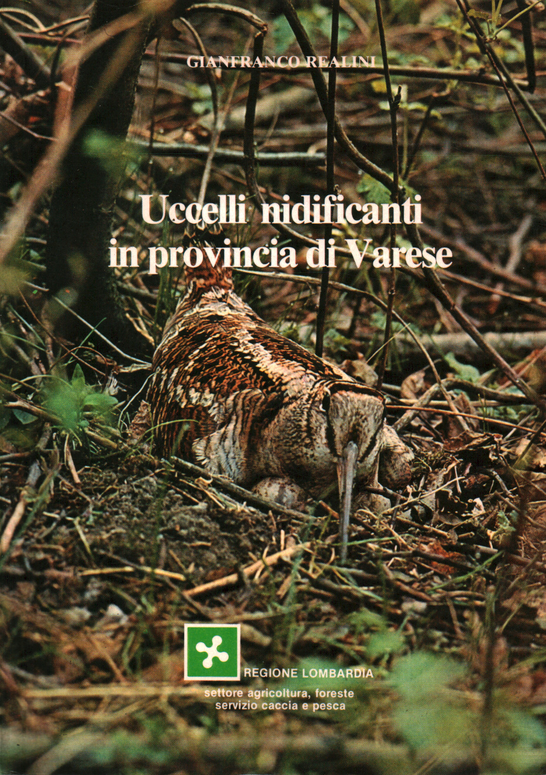 La cría de aves en la provincia de Varese, s.una.