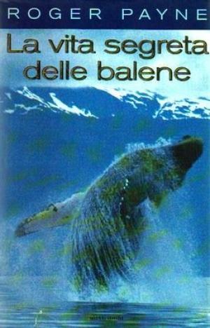 La vita segreta delle balene