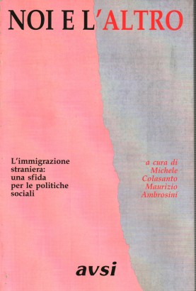Noi e l'altro