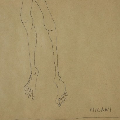 Disegno di Umberto Milani-particolare