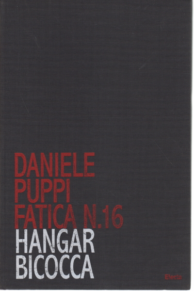 Daniele Puppi Fatica N. 16 - Hangar Bicocca