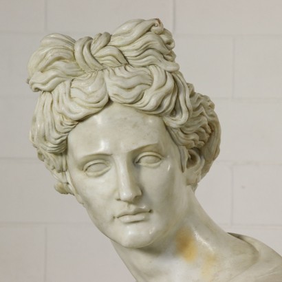 Marble Bust Apollo del Belvedere 20th Century