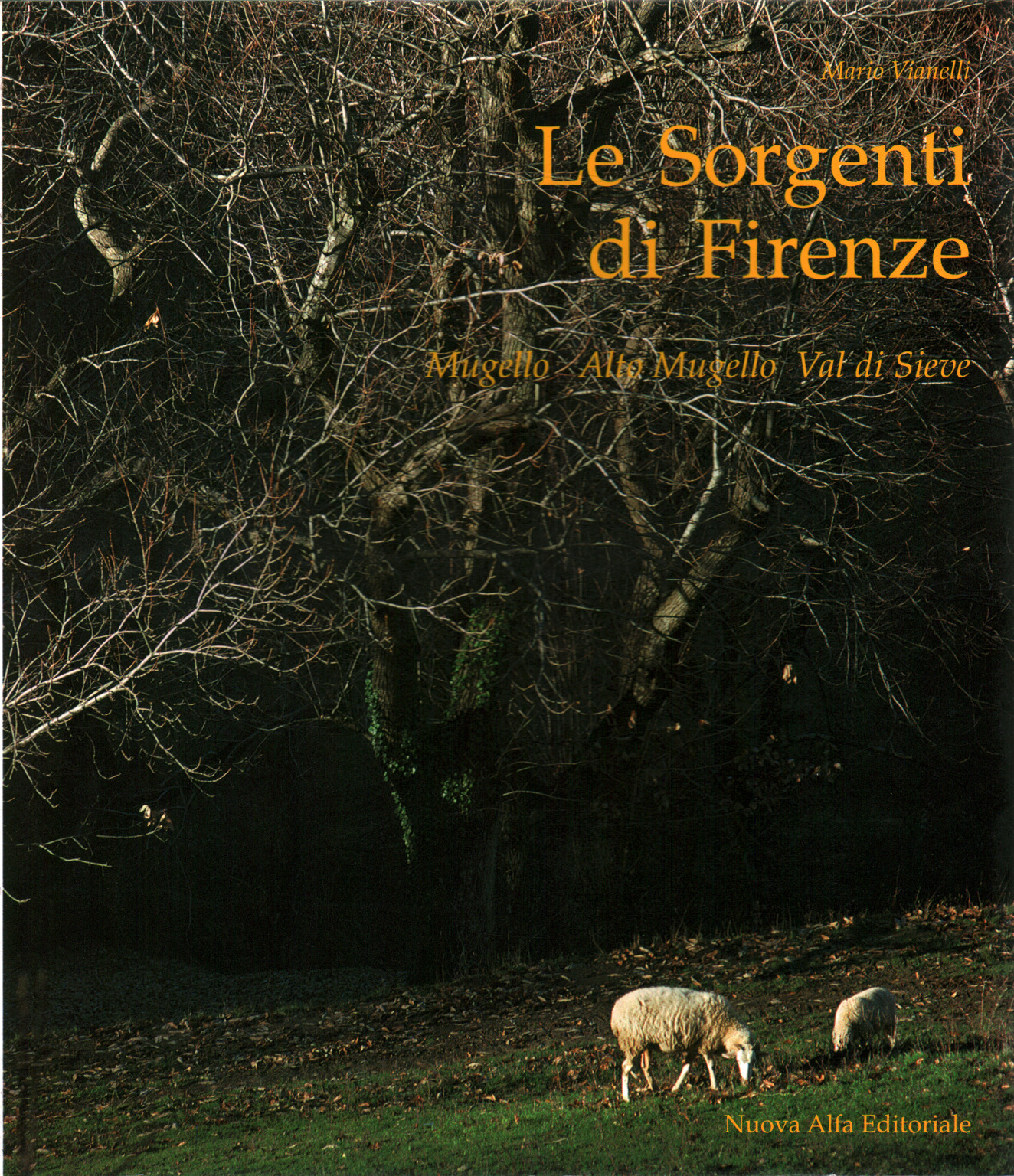 Le sorgenti di Firenze, s.a.