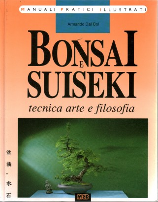 Bonsai e Suiseki