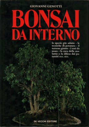 Bonsai da interno