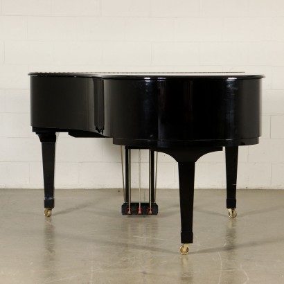 Grand piano, Schulze Pollmann-particular